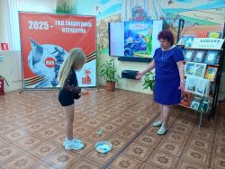 IMG 20250605 105003 586