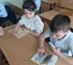 IMG 20260402 122156 655 1252071922