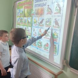 IMG 20260402 123207 943 1112792650